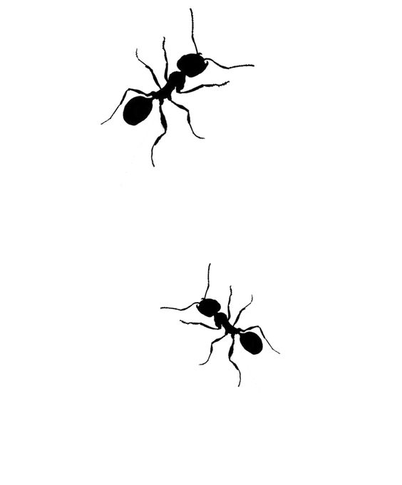 e2359c96ea9871abc748a20c7068c852